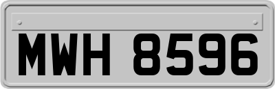 MWH8596