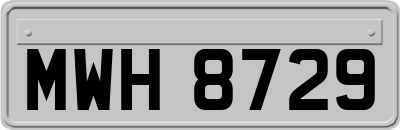 MWH8729