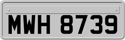 MWH8739