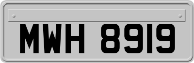 MWH8919