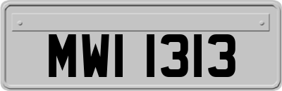 MWI1313