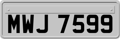 MWJ7599