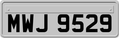 MWJ9529