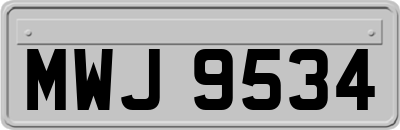 MWJ9534