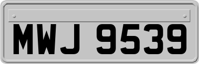 MWJ9539