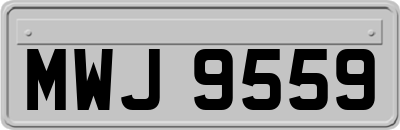 MWJ9559