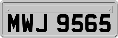 MWJ9565