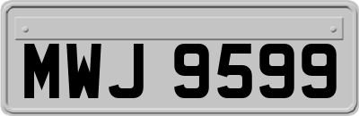 MWJ9599