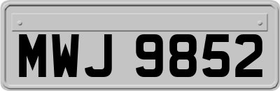 MWJ9852