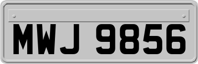 MWJ9856