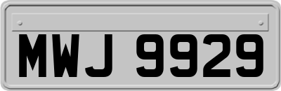 MWJ9929