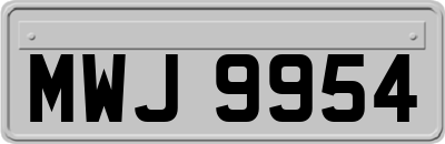 MWJ9954