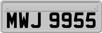 MWJ9955