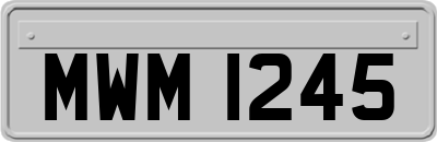 MWM1245