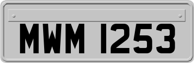 MWM1253