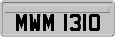 MWM1310