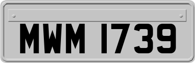 MWM1739