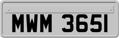 MWM3651