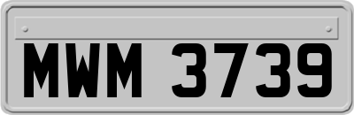 MWM3739