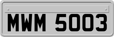 MWM5003