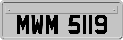 MWM5119