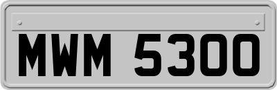 MWM5300