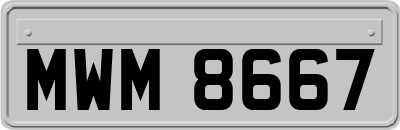 MWM8667