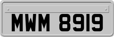 MWM8919