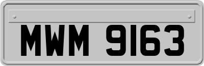 MWM9163