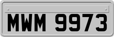MWM9973