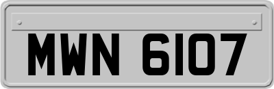 MWN6107