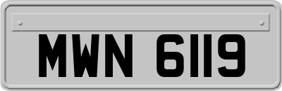 MWN6119