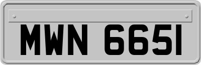 MWN6651
