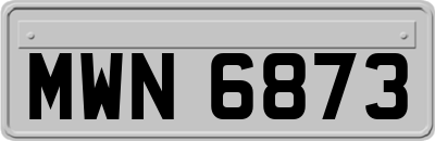 MWN6873