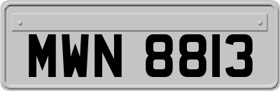 MWN8813