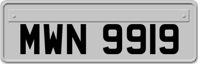 MWN9919