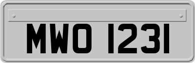 MWO1231