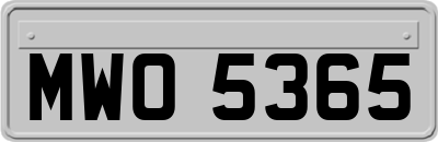MWO5365
