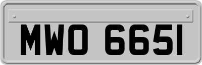 MWO6651