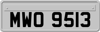 MWO9513