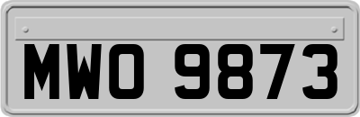 MWO9873