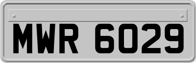 MWR6029