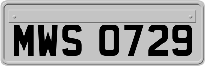 MWS0729