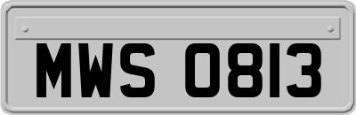 MWS0813