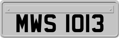 MWS1013
