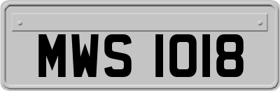 MWS1018