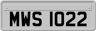 MWS1022