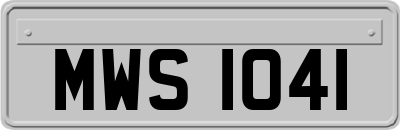 MWS1041