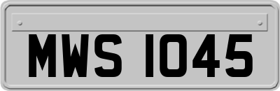 MWS1045