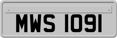 MWS1091